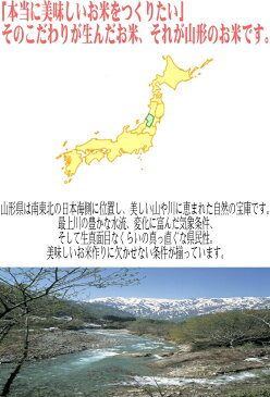 山形30年産 はえぬき 新米 10kg 送料無料【無洗米◎白米◎玄米◎】送料無料→北海道.中国.四国.九州.沖縄を除く