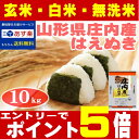 ◎あす楽 29年産 はえぬき 米 10kg 送料無料【今だけ...