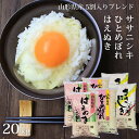 人気ランキング第27位「阿部ベイコク」口コミ数「110件」評価「4.7」米 20kg 送料無料 令和5年産 銘柄米5割入り (はえぬき/ひとめぼれ/ササニシキ) 選べる精米方法 (無洗米/白米) 山形県産 ハイクラスブレンド米 ※一部地域は別途送料追加 お米 コメ こめ