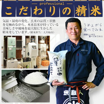 白米 30kg 送料無料 (地域限定) 米屋仕立て 【5kg×6袋】国内産100％の安くて美味しいコメ