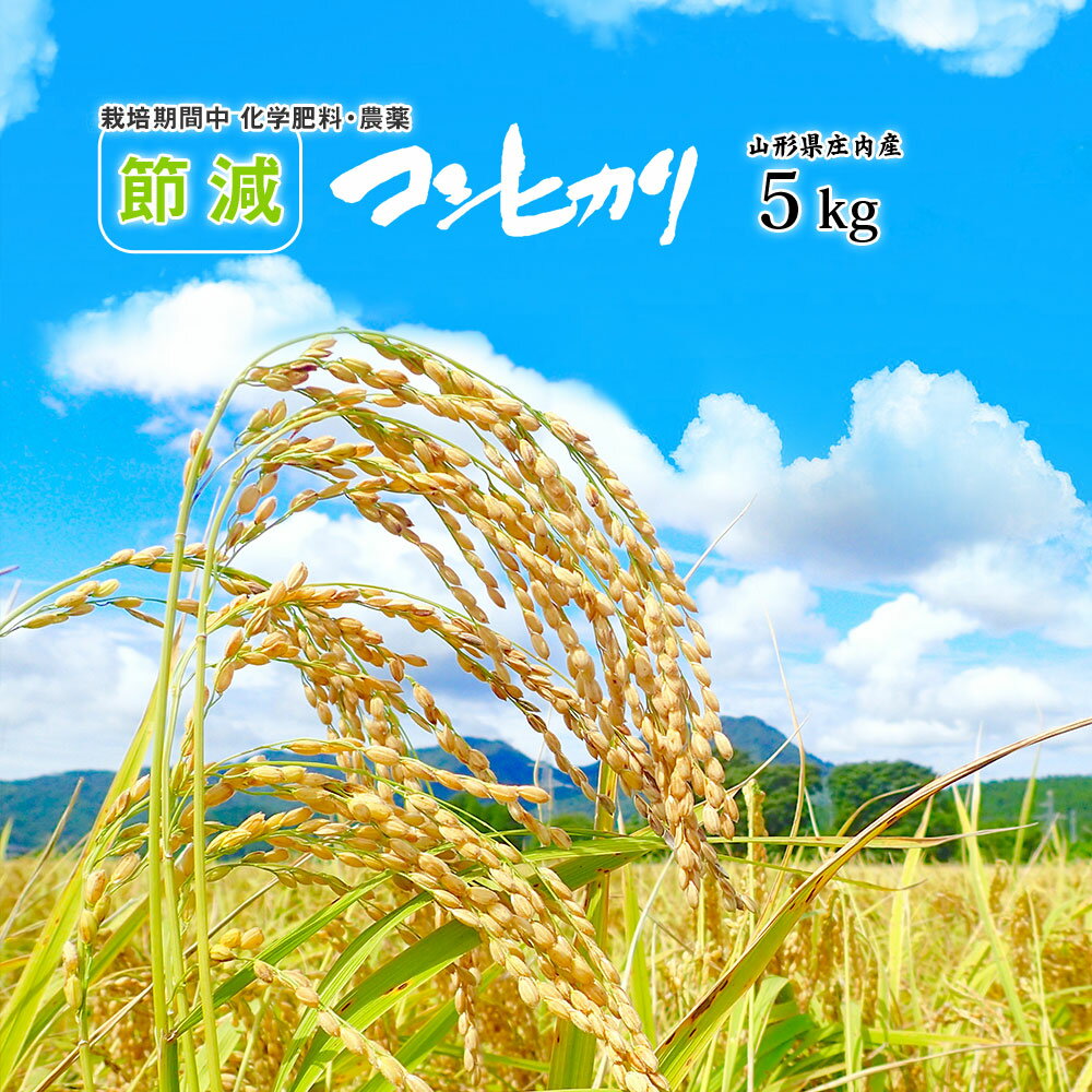 【節減対象農薬・化学肥料：当地比5割減】 コシヒカリ 5kg (5kg×1袋) 令和3年 【選べる精米方法→無洗米、白米、玄米】送料無料（北海道.中国.四国.九州.沖縄.各地離島を除く）