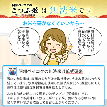 無洗米 送料無料 10kg こつぶ姫 5kg袋×2ケ 【別途送料加算地域あり】 【ラッキーシール対応】