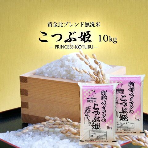 無洗米 送料無料 10kg こつぶ姫 5kg袋×2ケ 【別途送料加算地域あり】