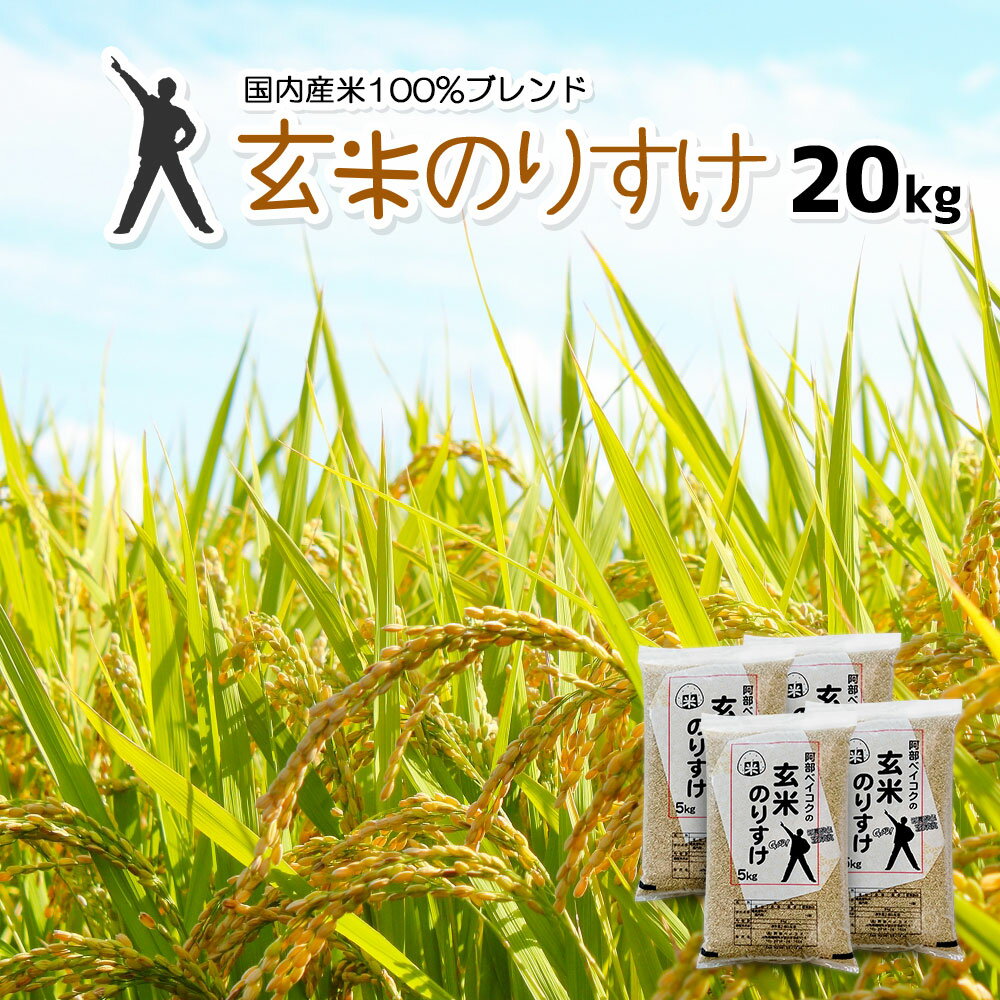 玄米 20kg 送料無料 玄米のりすけ (5kg×4袋) 【別途送料加算地域あり】