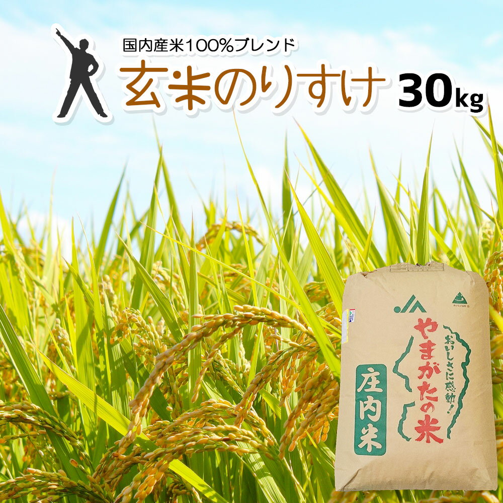 玄米 30kg 送料無料 玄米のりすけ 【別途送料加算地域あり】