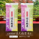 山形県産 はえぬき 600g 4合 真空パック (300グラム×2袋) 令和6年産 白米 送料無料 お米 1000円ポッキリ 買い回り 600グラム おこめ コ...