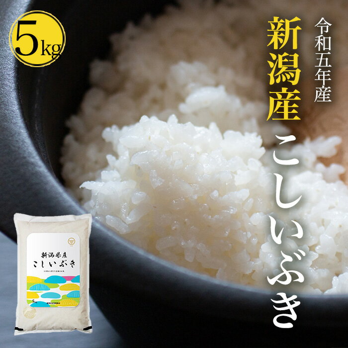 令和5年産 新潟産 こしいぶき 5kg 10kg 20kg 送料無料 産地直送 白米 精米 土曜発送可 米杜氏 お取り寄せ ギフト 贈り物 コシイブキ 5キロ 10キロ 20キロ 米 こめ コメ お歳暮 お中元 家庭応援米 安い 敬老の日 お米 新米