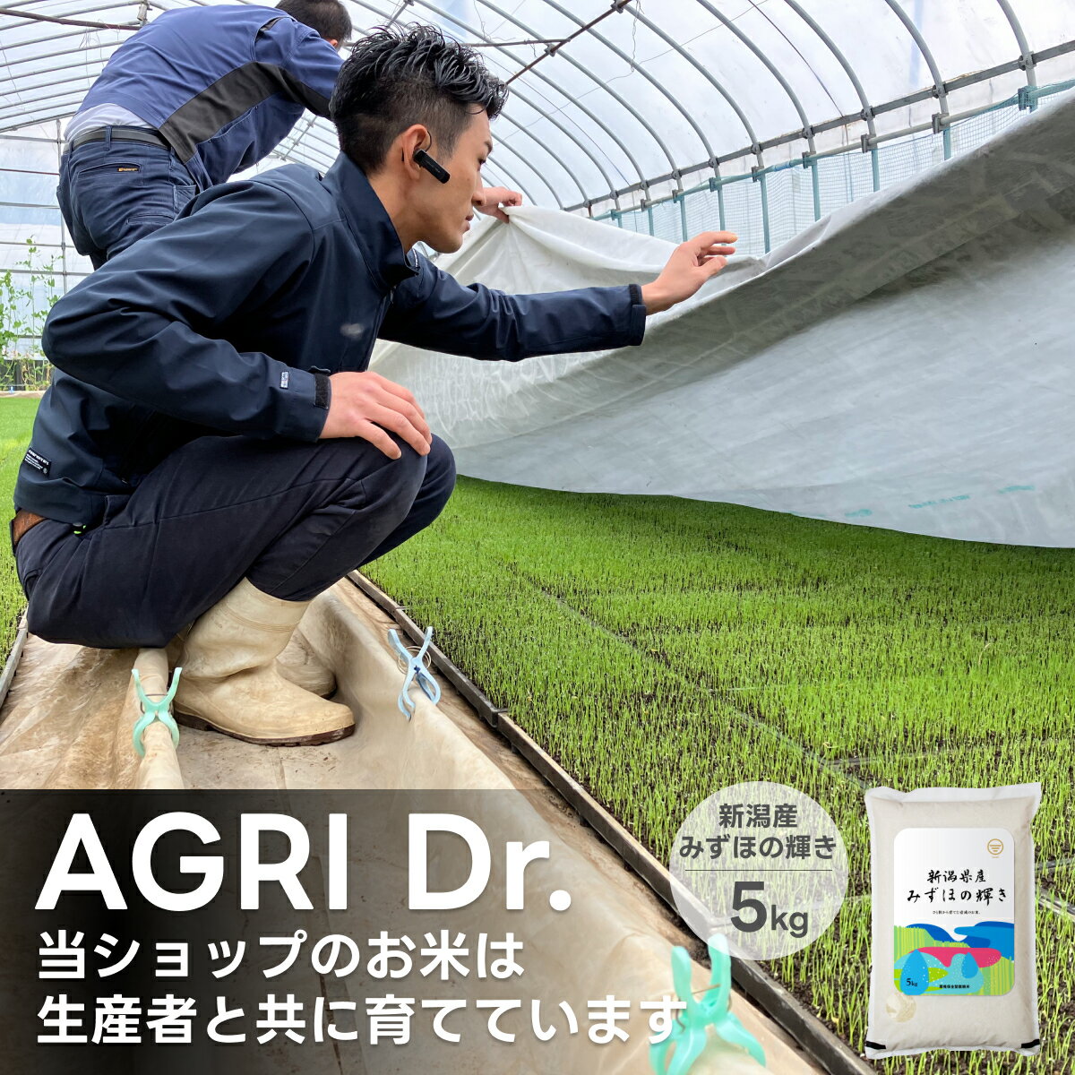 最安値に挑戦 お米 5kg 10kg 20kg 新潟産 みずほの輝き 送料無料 令和5年産 産地直送 白米 精米 米杜氏 お取り寄せ …