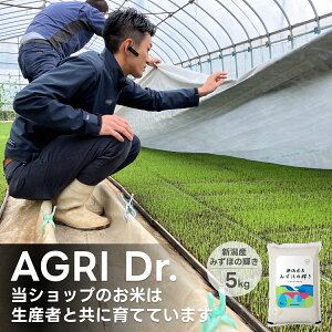 最安値に挑戦 お米 5kg 10kg 20kg 新潟産 みずほの輝き 送料無料 令和5年産 産地直送 白米 精米 米杜氏 お取り寄せ ギフト 贈り物 5キロ 10キロ 20キロ 米 こめ コメ 新潟 みずほのかがやき 家庭応援米 安い 業務用米 大粒