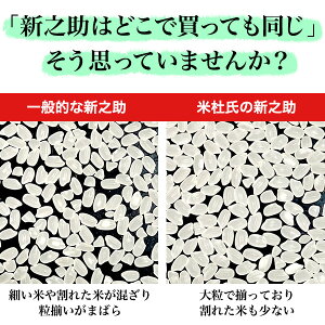 お米 10kg 新之助 新潟産 (5kg×2袋) 令和5年産 産地直送 白米 精米 土曜発送可 米杜氏 お取り寄せ ギフト 贈り物 10キロ 生産者 しんのすけ 栽培技術指導 米 こめ コメ お歳暮 お中元 母の日 新米 ※送料無料(沖縄を除く)。