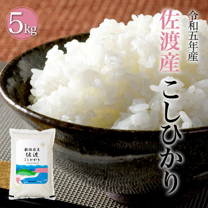 令和5年産 佐渡産 コシヒカリ 5kg 10kg 20kg 新潟 送料無料 産地直送 白米 精米 土曜発送可 米杜氏 お取り寄せ ギフ…