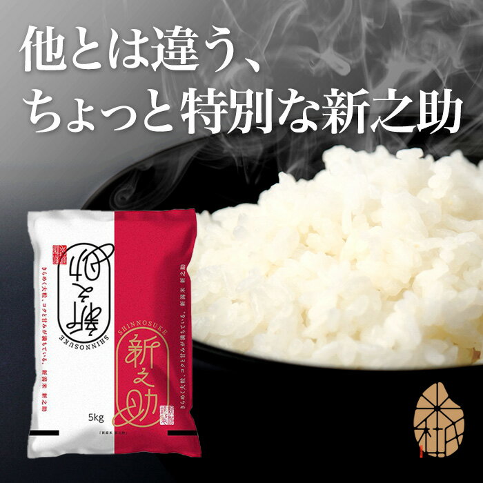 お米 10kg 新之助 新潟産 (5kg×2袋) 令和5年産 産地直送 白米 精米 土曜発送可 米...