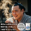 お米 魚沼産コシヒカリ 送料無料 新米 米杜氏 20kg 10kg 5kg 【令和7年産】新潟米 精米 白米 産地直送 お米 安い