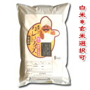 【令和5年産】新潟県長岡産華麗舞1kg　新潟から産地直送でお届けいたします♪【精白米・玄米選択可】