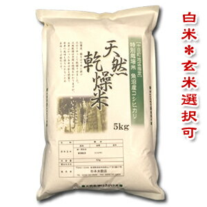 【令和5年産】【送料無料（一部地域を除く）】“天然乾燥はさがけ米　十日町地区指定魚沼産コシヒカリ5kg袋　スローライフ・スローフー..