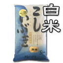 【令和6年産】【送料無料(一部地域を除く)】越後長岡地区限定!新潟産こしいぶき 5kg 新潟でしか栽培されていない若い世代に人気の銘柄米♪新潟から産地直送でお届...
