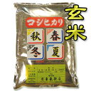 【新米！令和元年産】【送料無料（一部地域を除く）】新潟県長岡産コシヒカリ“玄米”　5kg袋　〔元年産〕　東西の丘陵地から流れる清冽な水と空気が田んぼを潤す良質米産地です。新潟から産地直送でお届けします♪