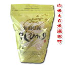 【令和4年産】新潟県産コシヒカリ　1kg袋　新潟米のスタンダード！新潟から産地直送でお届けします♪【精米・玄米選択可】