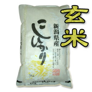 【新米!令和2年産】【送料無料(一部地域を除く)】新潟県産コシヒカリ“玄米” 5kg袋 〔令和2年産〕 新潟米のスタンダード!新潟から産地直送でお届けします♪おまけ付!