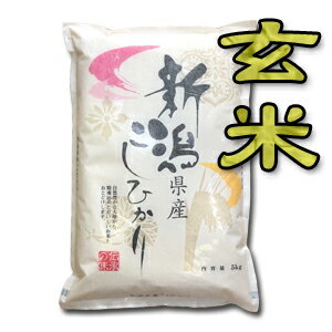 【令和4年産】【送料無料（一部地域を除く）】新潟県産コシヒカリ“玄米”　5kg袋　新潟米のスタンダード！新潟から産地直送でお届けします♪おまけ付！のサムネイル