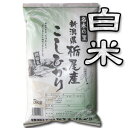 【令和元年産】【送料無料（一部地域を除く）】棚田米！新潟県栃尾産コシヒカリ 5kg×2袋　〔元年産〕　契約農家直仕入れ！名水の里の棚田米♪新潟から産地直送でお届けします♪