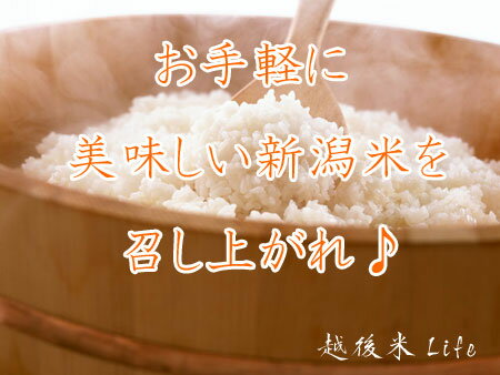 【令和5年産】【送料無料(一部地域を除く)】【...の紹介画像3