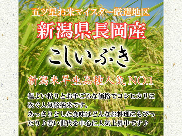 【新米】【送料無料（一部地域を除く）】越後長岡地区限定！新潟産こしいぶき“玄米”　25kg　〔30年産〕　新潟でしか栽培されていない若い世代に人気の銘柄米♪新潟から産地直送でお届けします♪【精米無料】【一等米】