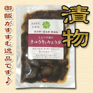 【漬け物】きゅうりとみょうがのしょうゆ漬けほっかほかご飯のお供に♪