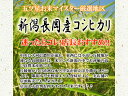 【令和5年産】【送料無料（一部地域を除く）】新潟県長岡産コシヒカリ“玄米”　5kg袋　東西の丘陵地から流れる清冽な水と空気が田んぼを潤す良質米産地です。新潟から産地直送でお届けします♪ 3