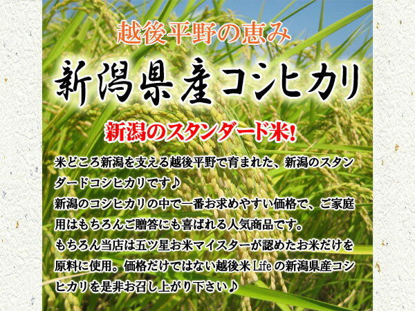 【お試し】新潟県産コシヒカリ3合〔令和3年産〕新潟から産地直送でお届けいたします♪【精白米・玄米選択可】【ネコポス可】