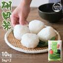 令和6年産 佐賀県産 脊振棚田米 10kg 白米 精米 お米【送料無料】