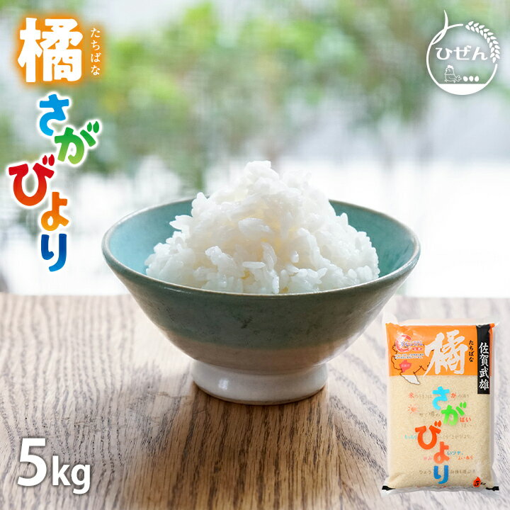 令和5年産 佐賀県産 橘 さがびより 5kg 米 送料無料 