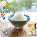 令和5年産 佐賀県産　橘 さがびより 10kg ( 5kg×2袋 ) 米 送料無料 武雄市 産地限定　