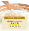 令和5年産 佐賀県産　橘 さがびより 10kg ( 5kg×2袋 ) 米 送料無料 武雄市 産地限定　【全農安心システム米】