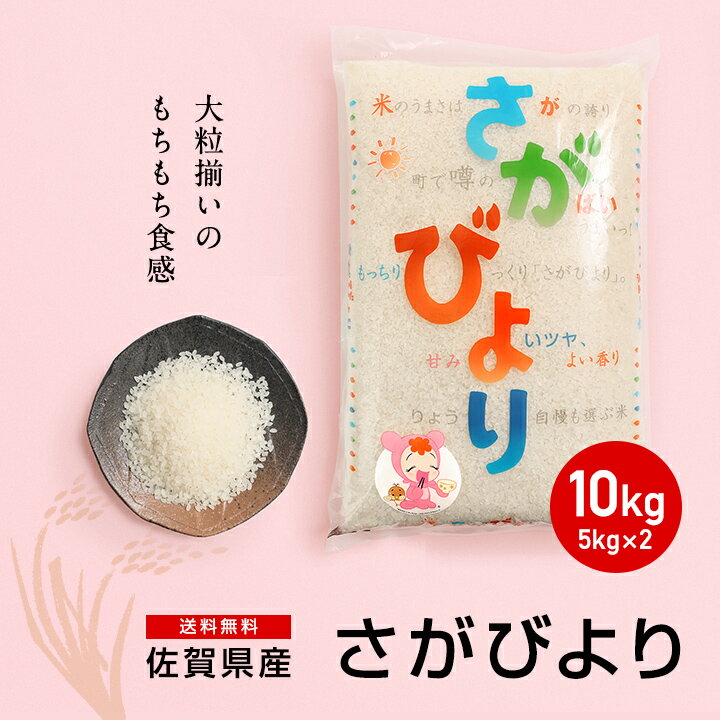 米 10kg 送料無料　【新米】令和7年産 佐賀県産 さがびより 10kg 白米 精米 お米【送料無料】