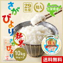 【 送料無料 】29年産 佐賀県産 さがびより 10kg 米...