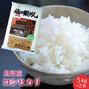 送料無料！新潟県魚沼