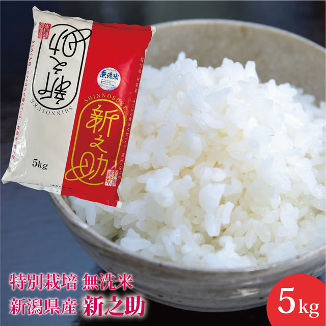 送料無料！新之助 無洗米 5kg 新潟県産　産地直送米のサムネイル