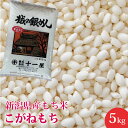 新潟県産 こがねもち 5kg