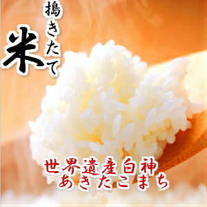 令和3年産　米 20kg 送料無料　秋田県産 あきたこまち 玄米(10kg×2袋) ...