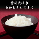 令和元年産 　玄米 30kg 送料無料　秋田県産 減農薬 特別栽培米 あきたこまち 米 30kg(10kg×3袋)一等米　お米　白米 27kg　お祝い　御贈答