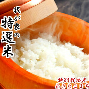 我が家で育てたお米です　令和5年産　米 10kg 送料無料　秋田県産 減農薬 特別栽培米 あきたこまち 米 10kg 一等米　白米 9kg　お米　お祝い　御贈答 1