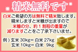 新米予約　令和4年産 米 30kg 送料無料　秋田県産 減農薬 特別栽培米 あきたこまち 玄米 30kg(10kg×3袋) 一等米　白米 27kg 　お米　玄米 30kg　お祝い　御贈答