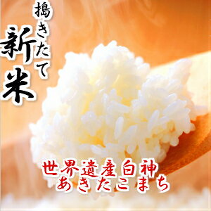 新米予約　令和4年産　米 30kg 送料無料 秋田県産 あきたこまち 玄米(10kg×3袋)　一等米　お米　白米 27kg　お祝い　御贈答