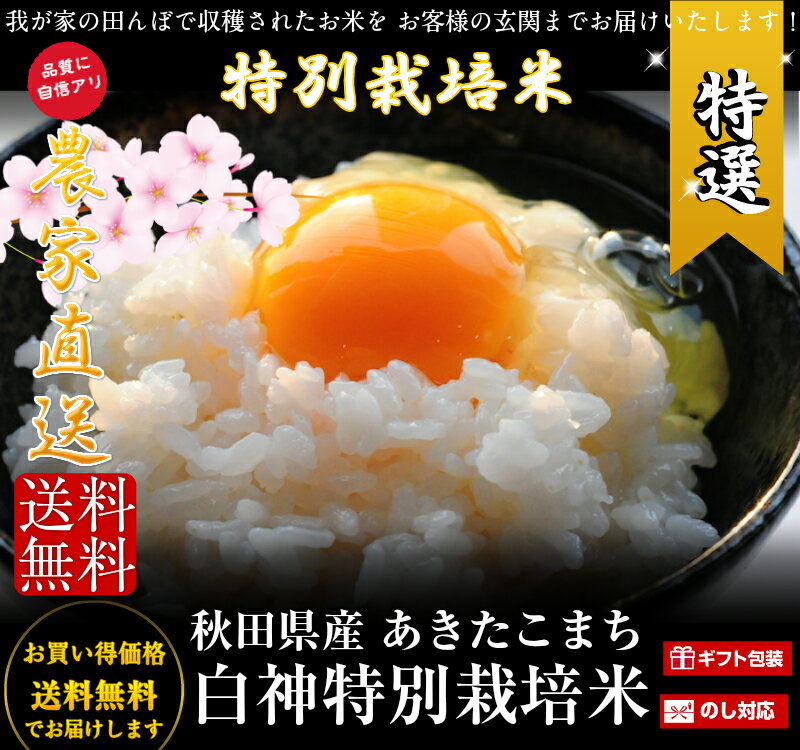 我が家で育てたお米です　令和5年産　米 10kg 送料無料　秋田県産 減農薬 特別栽培米 あきたこまち 米 10kg 一等米　白米 9kg　お米　お祝い　御贈答 3