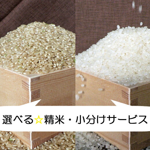 新米 予約 三重県伊賀産 ミルキークイーン 玄米 30kg ヒラキファーム 令和4年産 送料無料