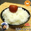 米 長野県飯綱産 ミルキークイーン 玄米 20kg 令和3年産 YOU優FARM