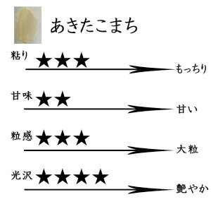 【スーパーセール2時間限定！】 米 長野県飯綱産 あきたこまち　白米 10kg 30年産 YOU優FARM 送料無料