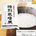 新潟産 コシヒカリ 特別栽培米 5kg(5kg×1袋) 令和2年産 米 5kg 送料無料 こしひかり 新潟 白米 精米