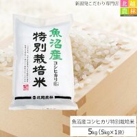 魚沼産 コシヒカリ 特別栽培米 5kg(5kg×1袋) 真空パック 令和2年産　食味ランキング特A 米 5kg 送料無料 こしひかり 新潟 白米 精米